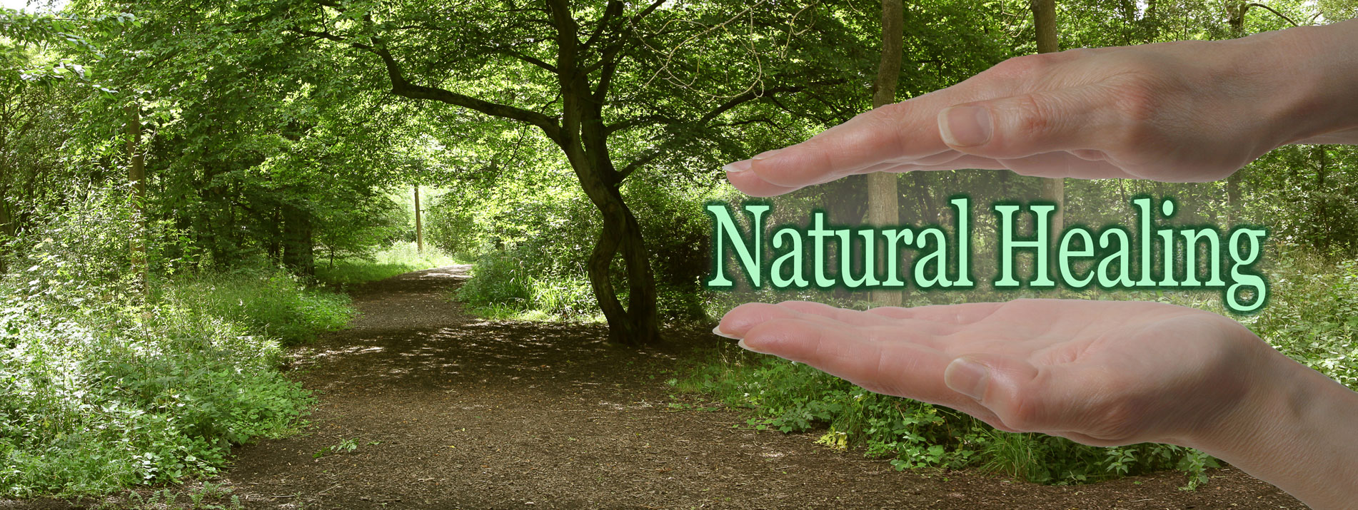 Braunton Holistic Therapies